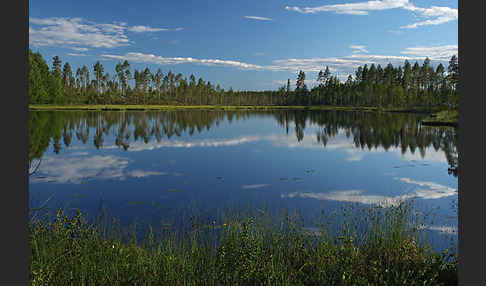 Finnland (Finland)