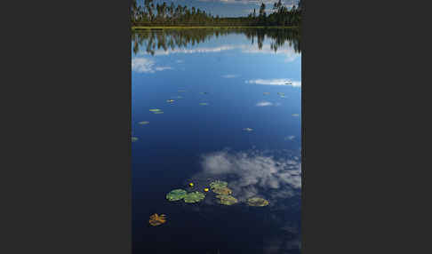 Finnland (Finland)