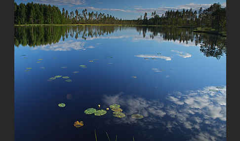 Finnland (Finland)