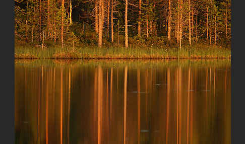 Finnland (Finland)