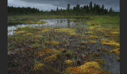 Finnland (Finland)