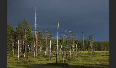 Finnland (Finland)