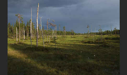 Finnland (Finland)