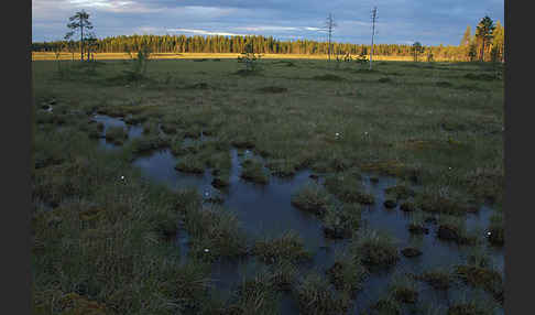 Finnland (Finland)