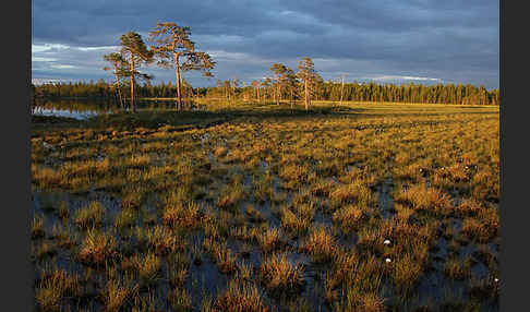 Finnland (Finland)