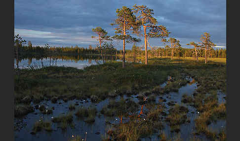 Finnland (Finland)