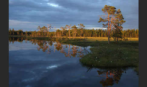 Finnland (Finland)