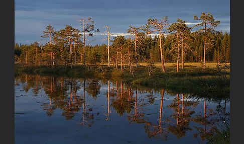 Finnland (Finland)