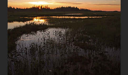 Finnland (Finland)