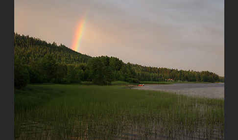 Finnland (Finland)