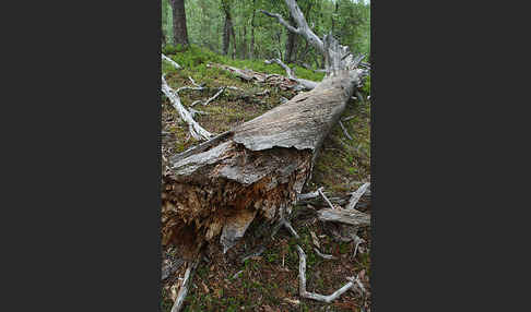 Finnland (Finland)