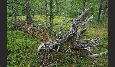 Finnland (Finland)