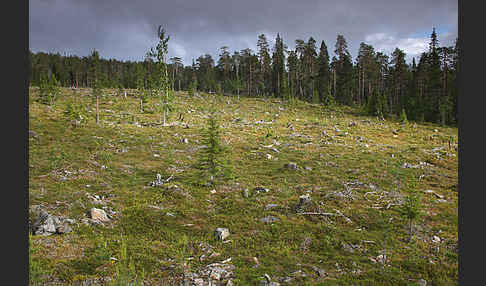 Finnland (Finland)