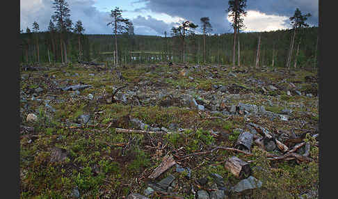 Finnland (Finland)