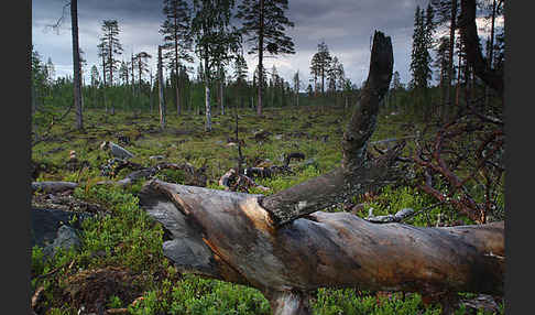 Finnland (Finland)