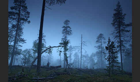 Finnland (Finland)