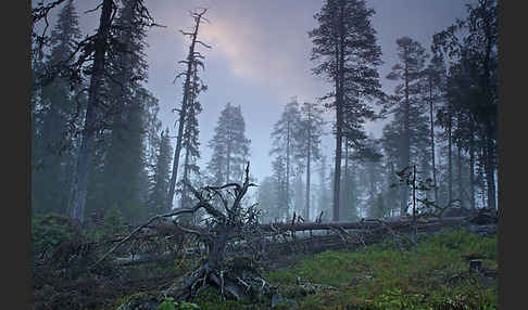 Finnland (Finland)