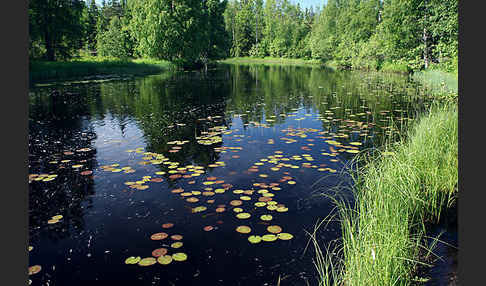 Finnland (Finland)