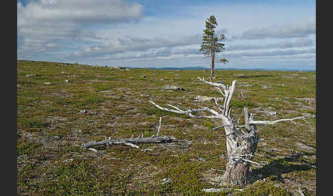 Finnland (Finland)