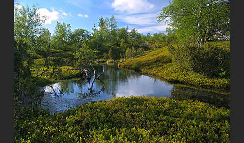 Finnland (Finland)