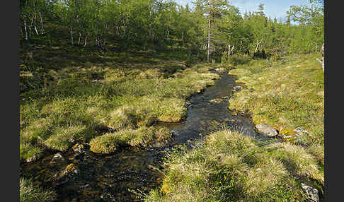 Finnland (Finland)