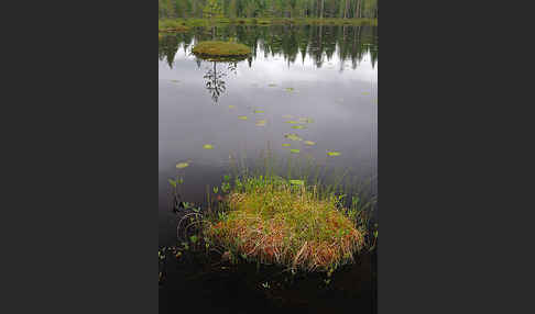 Finnland (Finland)