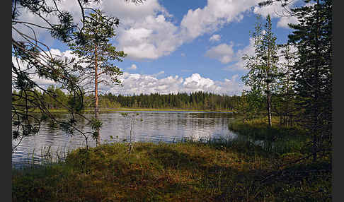 Finnland (Finland)