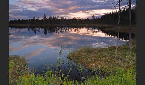 Finnland (Finland)