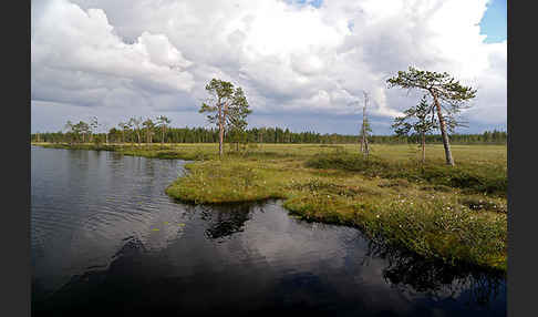 Finnland (Finland)