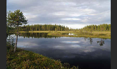 Finnland (Finland)