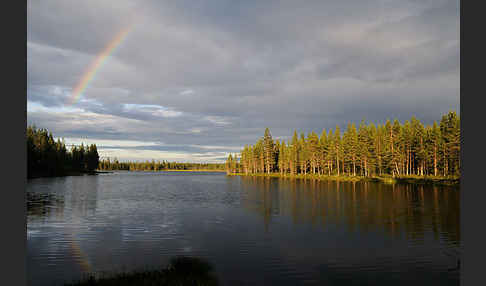 Finnland (Finland)