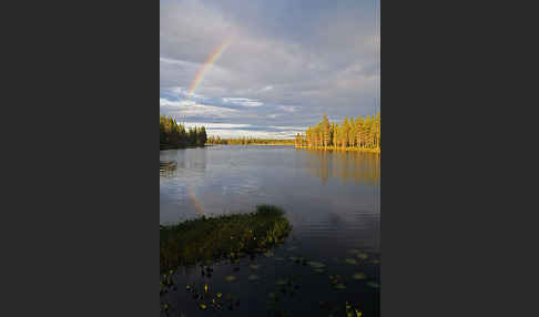 Finnland (Finland)