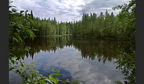 Finnland (Finland)