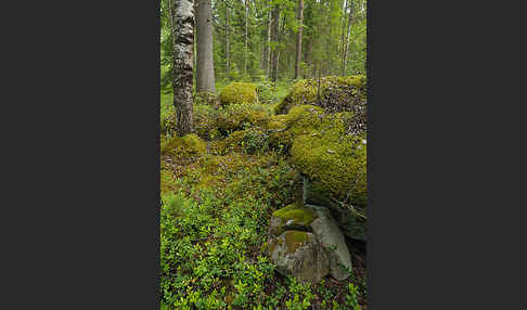 Finnland (Finland)