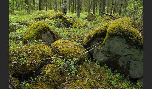 Finnland (Finland)