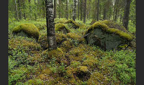 Finnland (Finland)