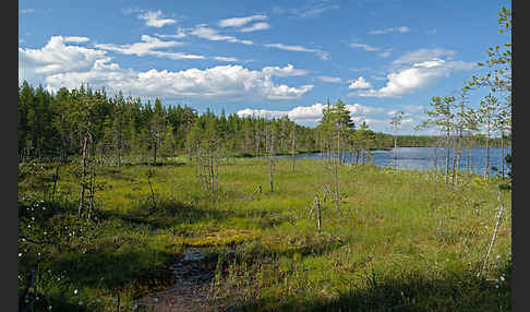 Finnland (Finland)