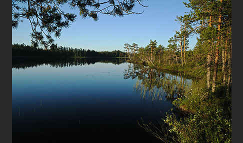 Finnland (Finland)