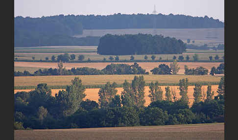 Thüringen (Thuringia)