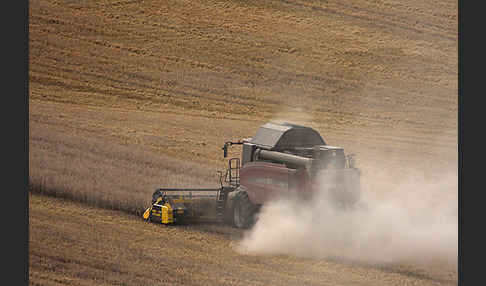 Landwirtschaft (agriculture)