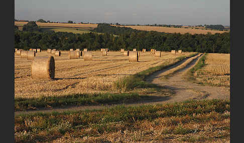 Thüringen (Thuringia)