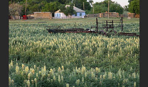 Kasachstan (Kazakhstan)