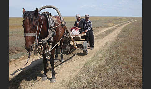 Kasachstan (Kazakhstan)