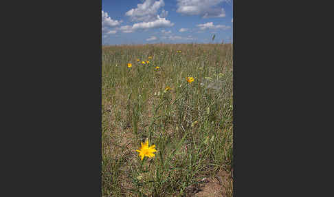 Kasachstan (Kazakhstan)