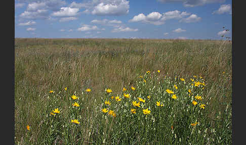 Kasachstan (Kazakhstan)