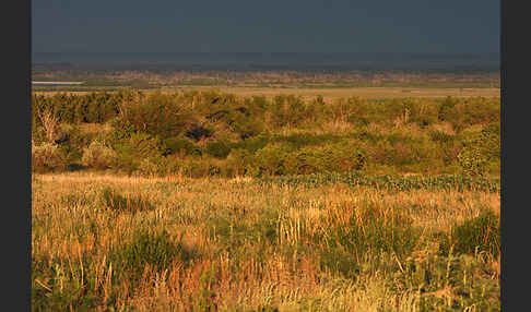 Kasachstan (Kazakhstan)