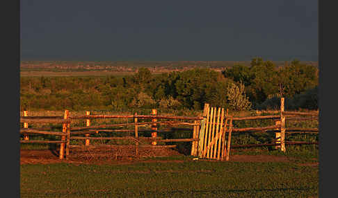 Kasachstan (Kazakhstan)