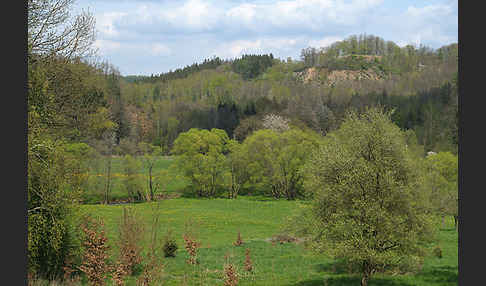 Thüringen (Thuringia)