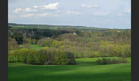 Thüringen (Thuringia)