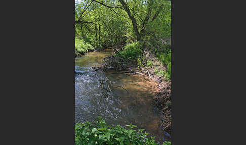 Thüringen (Thuringia)